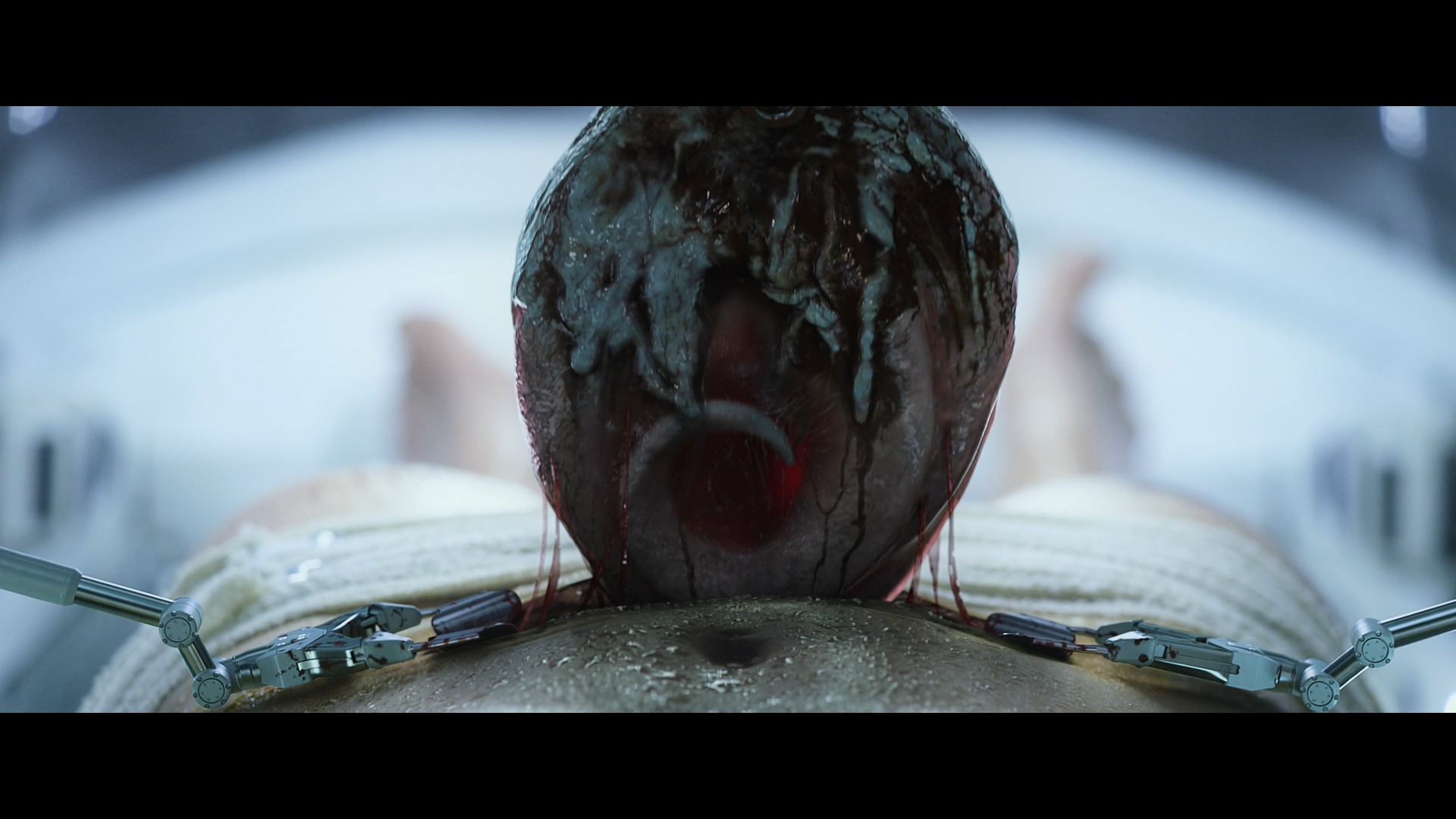 Still 2025 11 01 162655 1.5.2